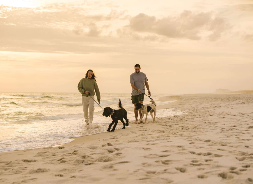 Beach Photo